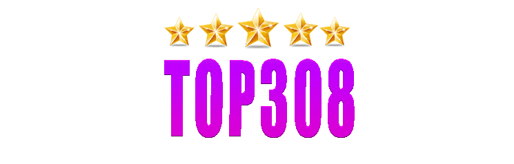 TOP308
                                        